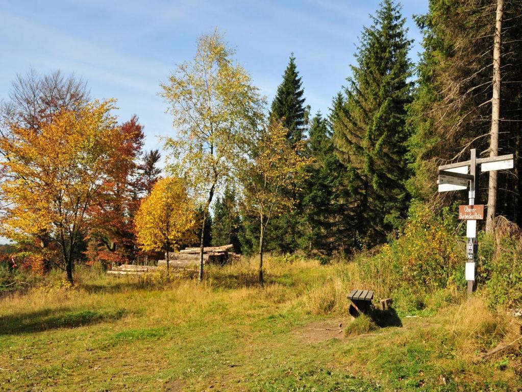 Ferienwohnung Ferienhaus Haus am Medebach Olsberg Exterior foto