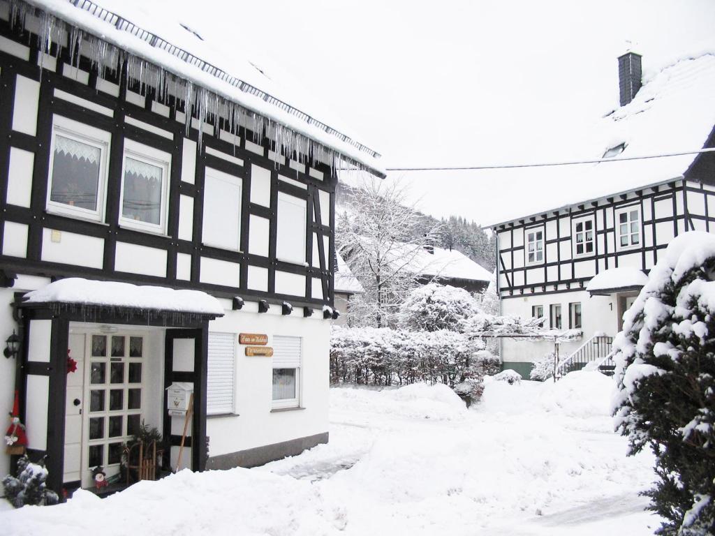 Ferienwohnung Ferienhaus Haus am Medebach Olsberg Exterior foto